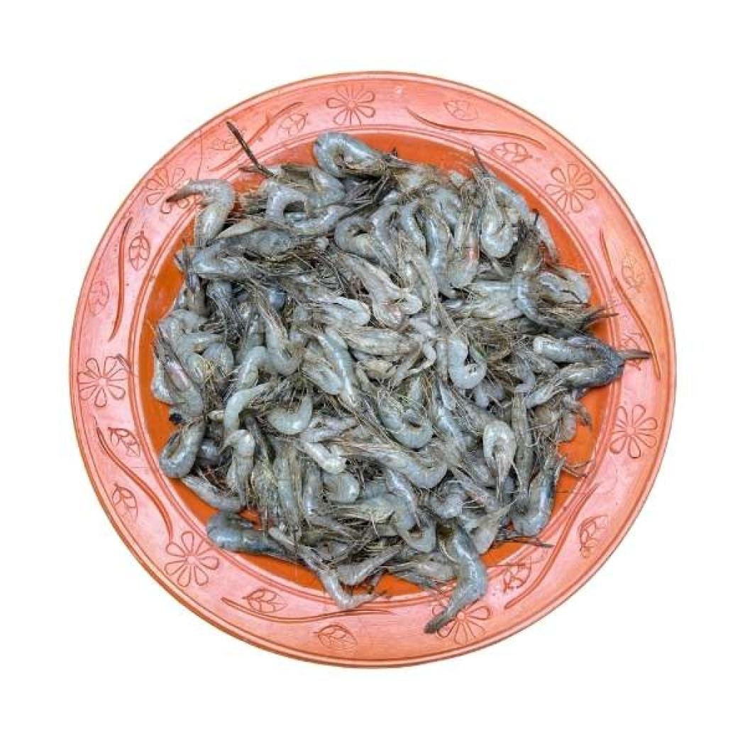 দেশি কালচে চিংড়ি